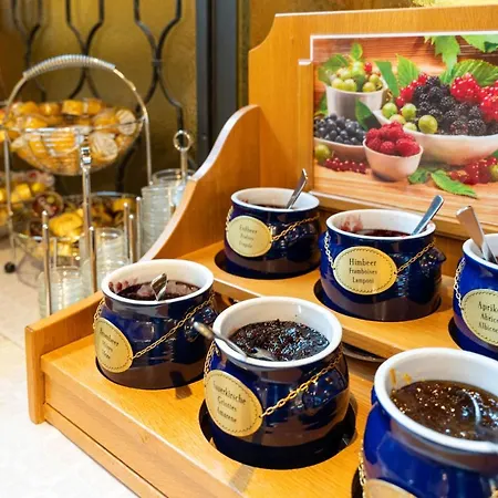 宾龙酒店 3* 圣莫里茨