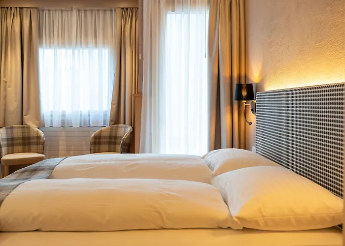 酒店 宾龙酒店 3*